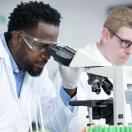 Lab worker looking through microscope